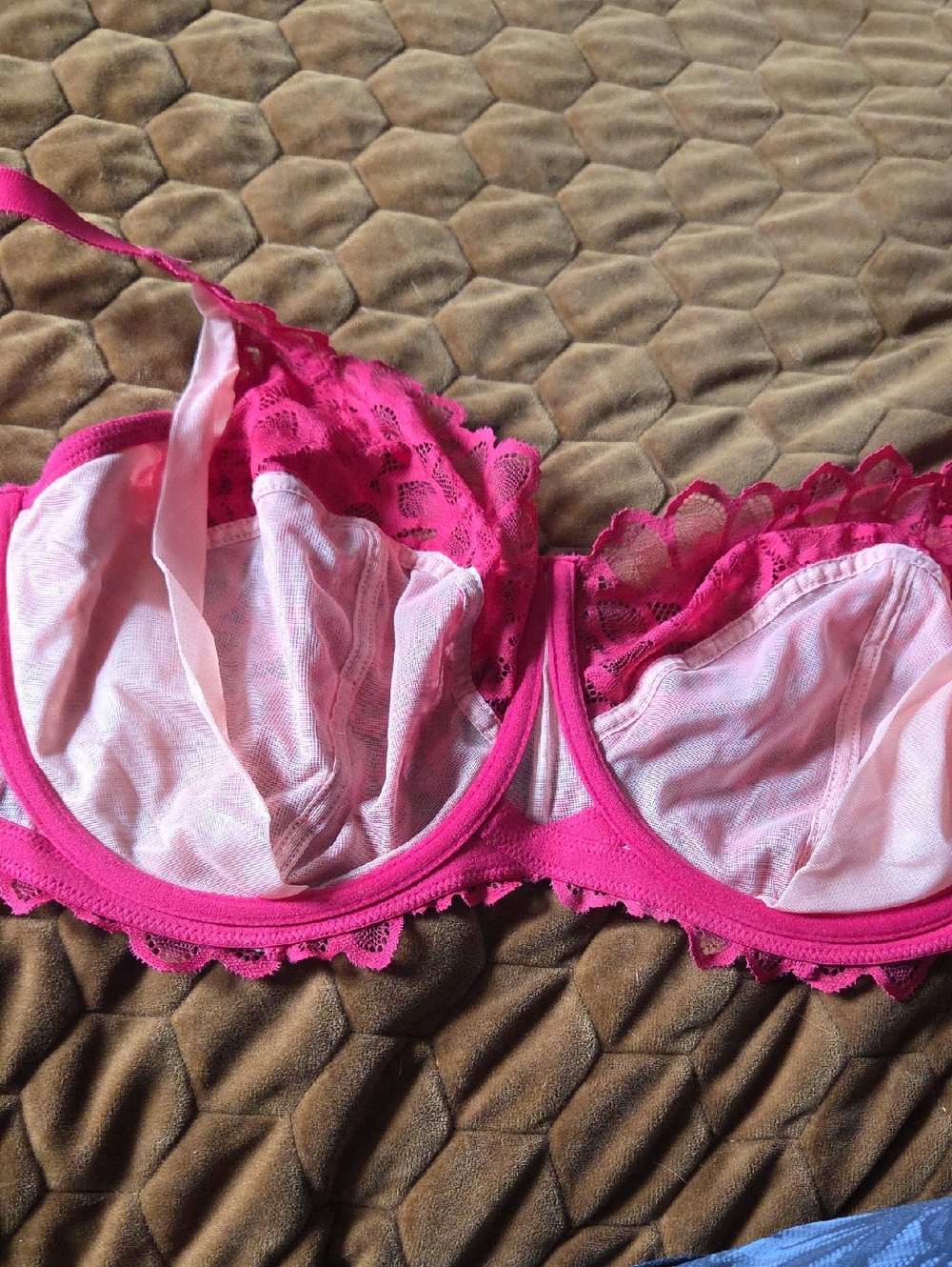 Panache Hot Pink Lace Underwire Bra - UK 34H / US 34K - Picture 4 of 5